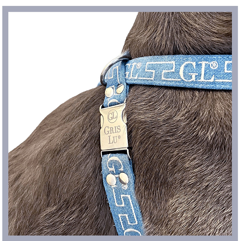 Miniatura: PETTORINA PER CANI JEANS - GRIS-LU JEANS