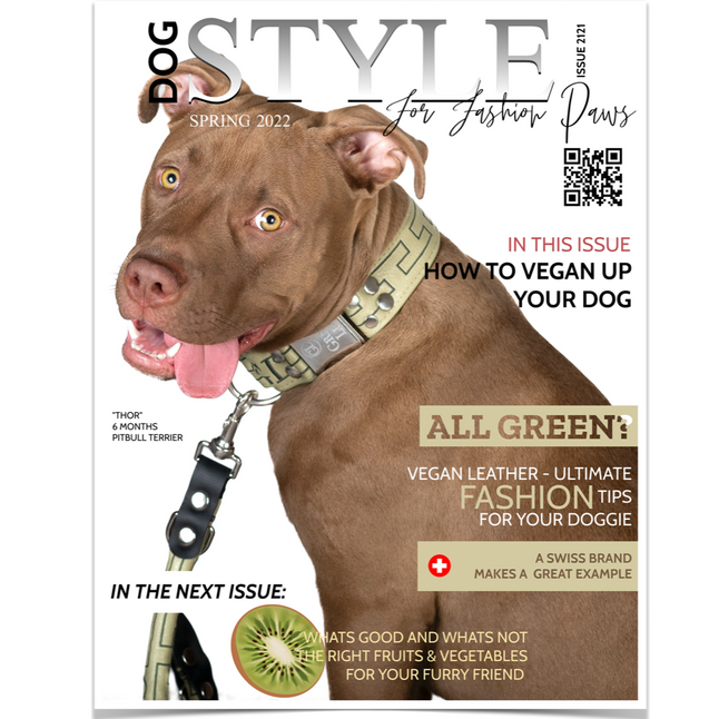 Hundegeschirr aus tierfreundlichem Material, vegan. Von Gris-Lu Schweiz.