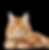 CAT SPA LUGANO TOELETTATURA.001.png
