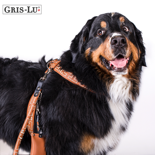 Hundegeschirr für grosse Hunde in braun. Von Gris-Lu Schweiz