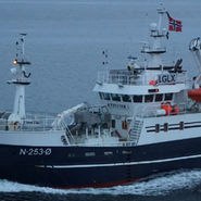 Ms Kystfisk til salgs