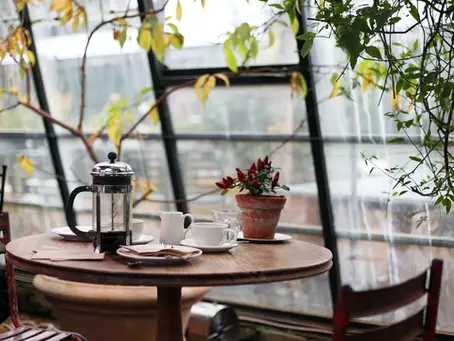 Coffee and Culture: Best Local Galleries and Cafés Near Capital YEG