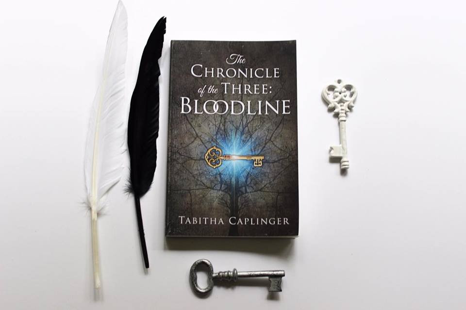 Books by Christian Author and Speaker Tabitha Caplinger