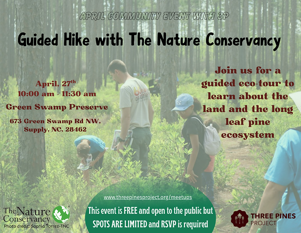 Green Swamp Guided Hike with The Nature Conservancy