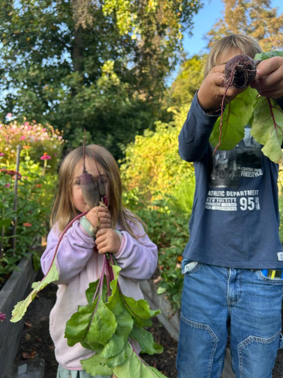 Brownie de Betarraga 