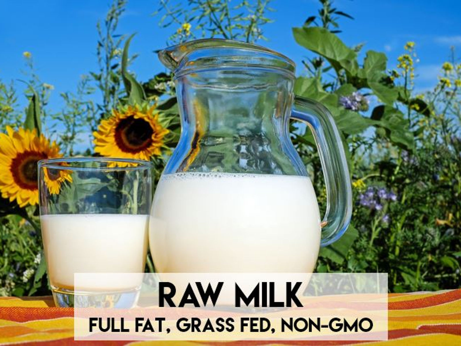 Sunny Horizon Dairy – Glen Allen pickup