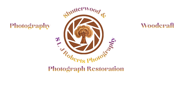 website header new.png