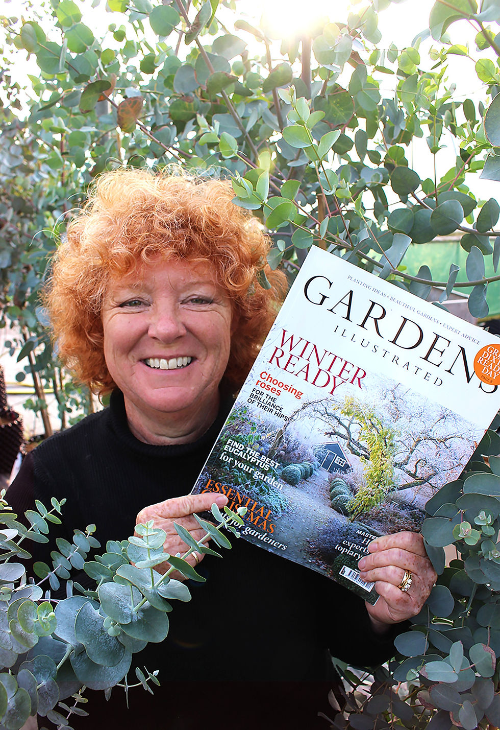 Hilary Collins hardy eucalyptus gardens illustrated magazine