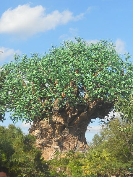 Disney Vacation Planner Animal Kingdom