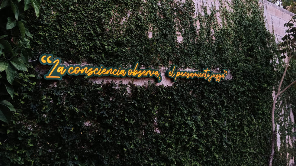 jardin.jpeg