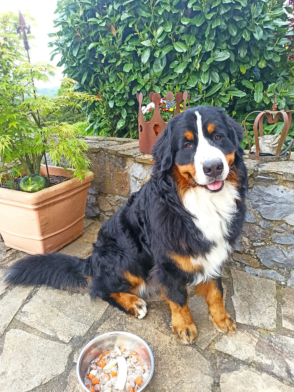 Heinrich