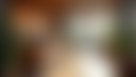 Why Local Gyms in Heidelberg Are Worth It: Exploring Your Local Fitness Options