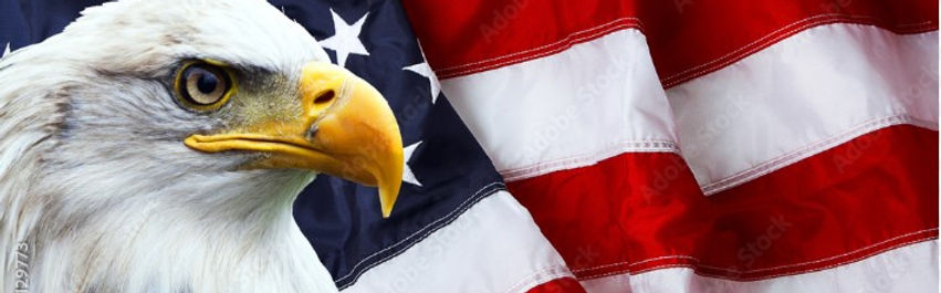 eagle and flag image.jpg