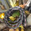 Miniaturbild: Army Leine