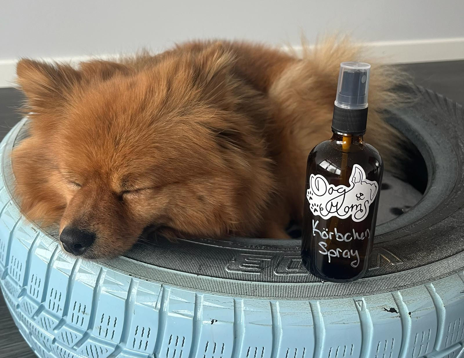 Körbchen-Spray 100ml