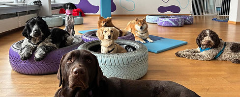 WhatsApp Image 2026-01-21 at 09.10.00.jpeg