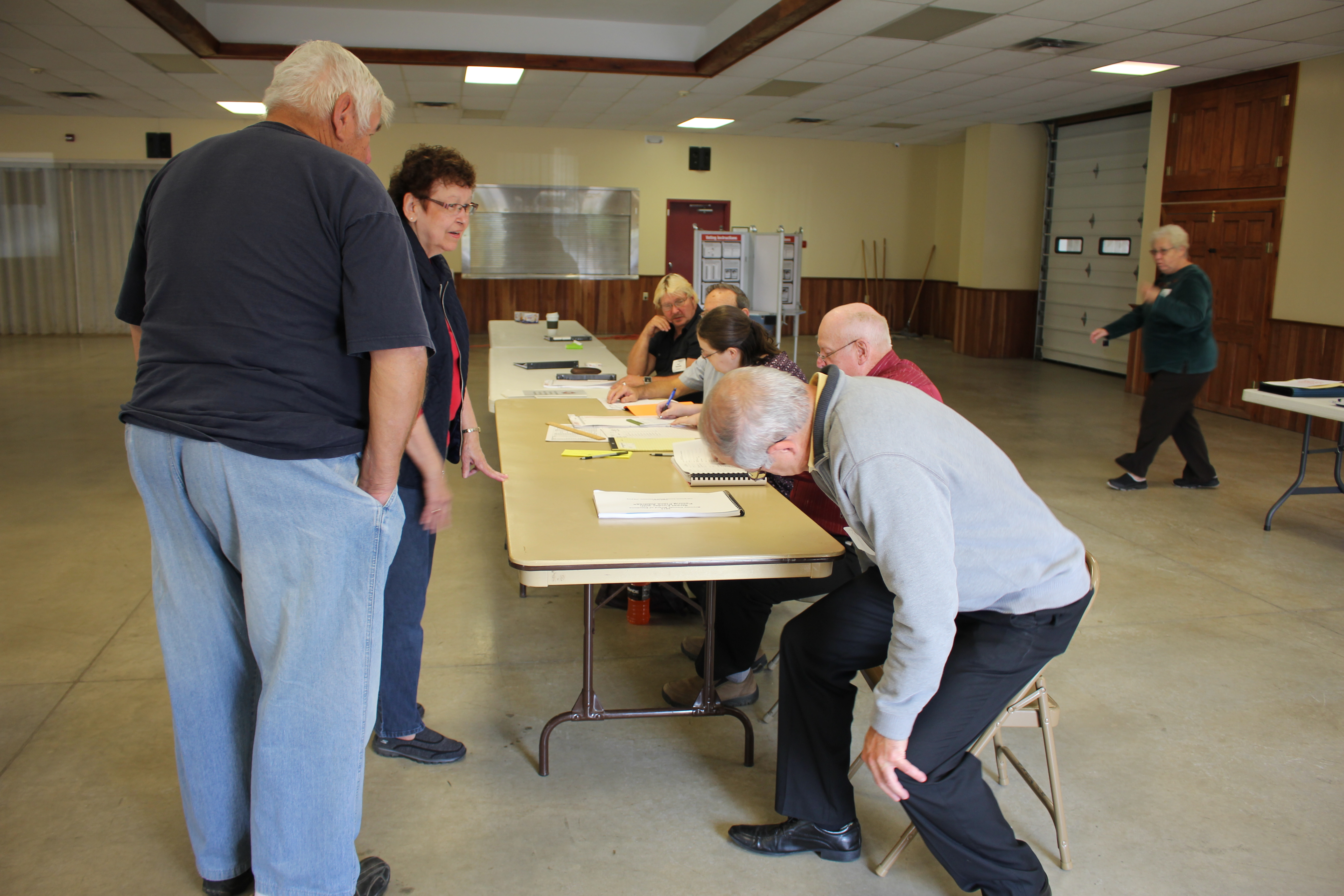 At the Polls