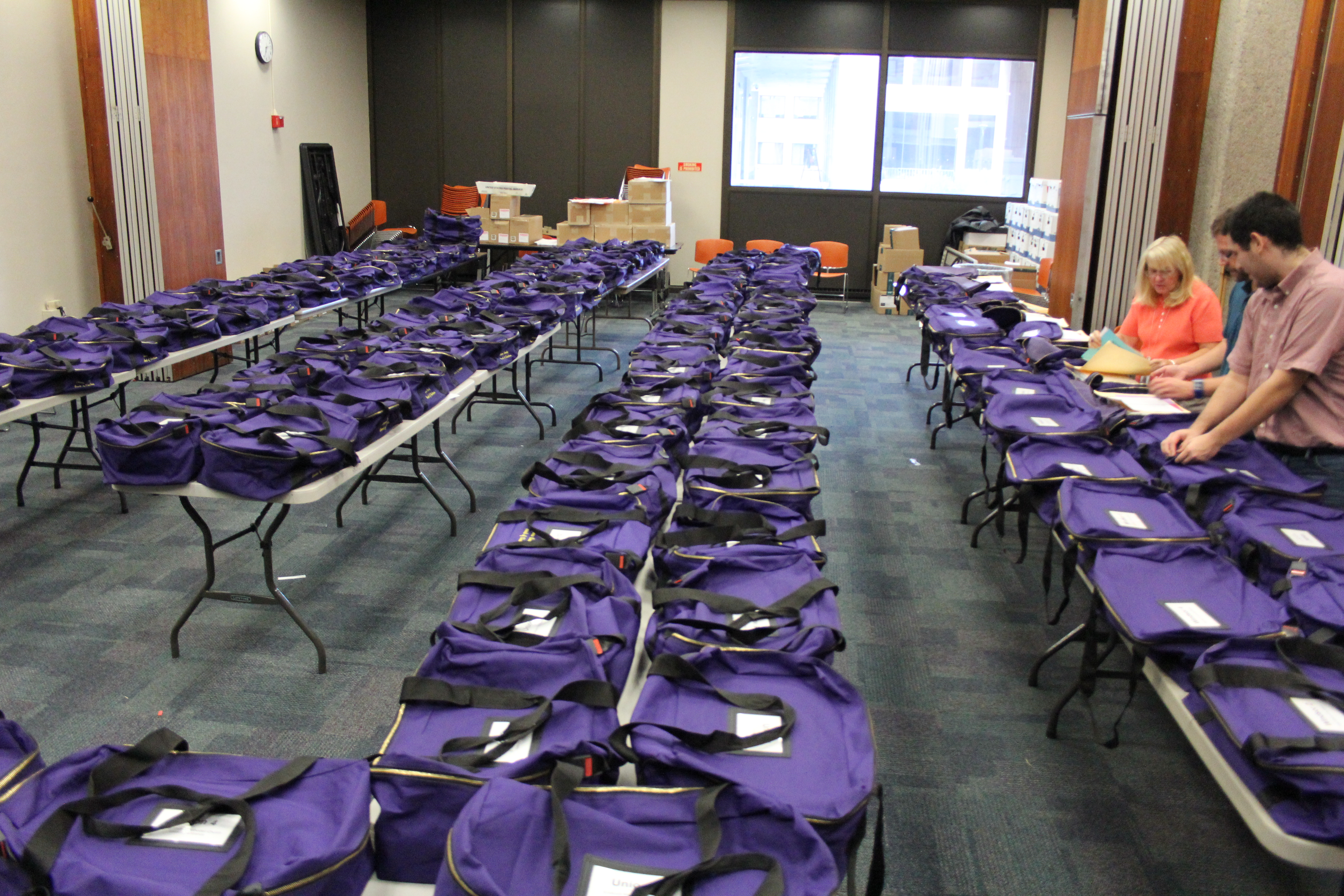 Purple Ballot Bags