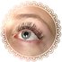 lightX (7).PNG