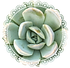 lightX (12).PNG