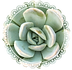 lightX (12).PNG