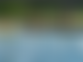 Silver Lake News April 2022