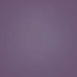 Women's Study Spring 2023