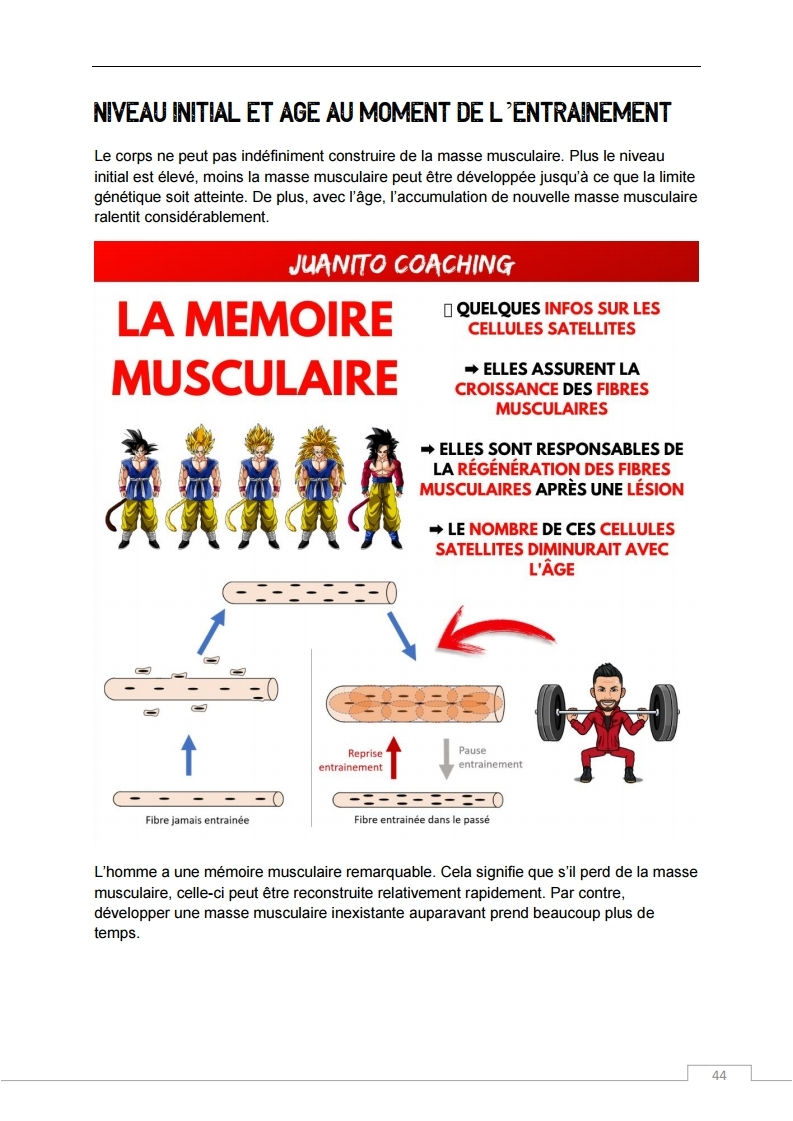 Miniature : PRISE DE MASSE EFFICACE (Livre Numérique)