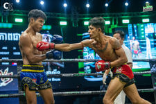 Ultimate Vikingz warrior