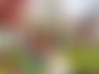 Lower Rates, Bigger Savings: Buy or Refi Now with SAYAMAX