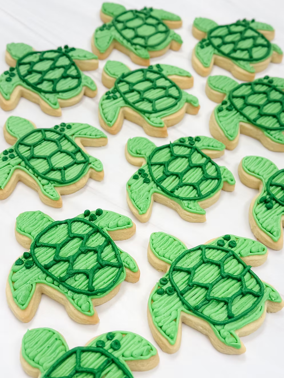 Turtle Sugar Cookies