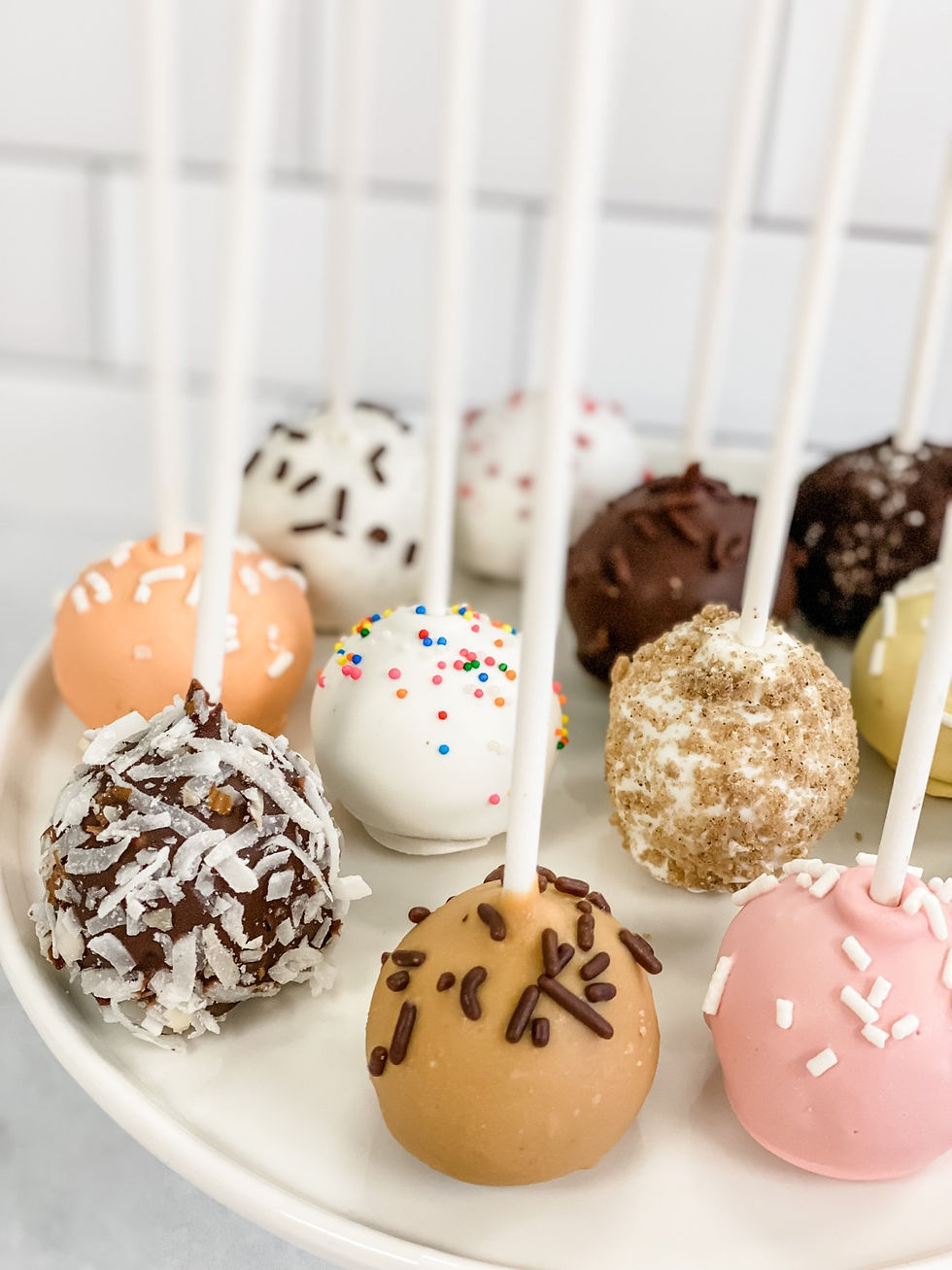 Bake Shop Hollywood Baked Goods 2/12