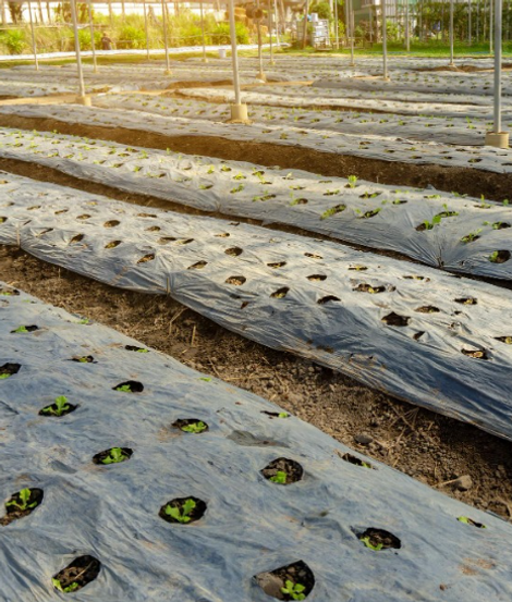 Screenshot 2026-02-14 152900.png