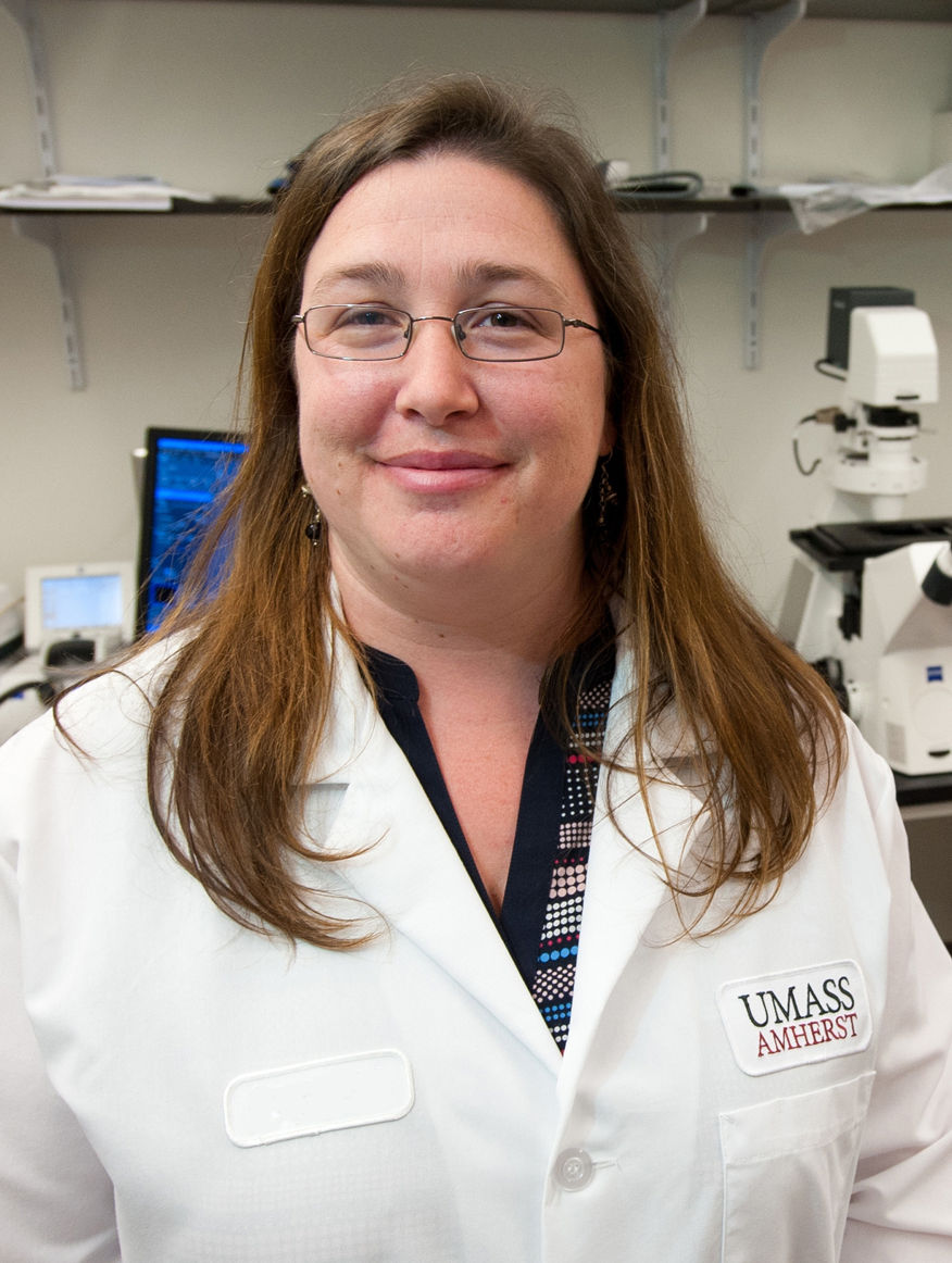 Dr Laura Vandenberg, Professor of Environmental Health Sciences at UMass Amherst, says it is not enough to say sunscreen chemicals have not been proven dangerous. For products used across the body and on children, the standard should be clear evidence of safety.