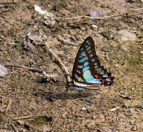 WLH_4322-2.jpg
