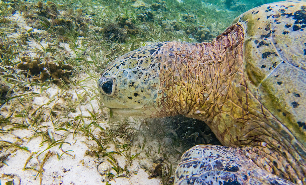 P1200312-2.jpg