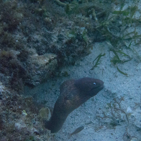 P1190684-2.jpg