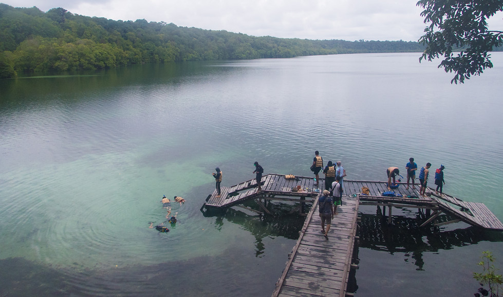 P1200128-2.jpg