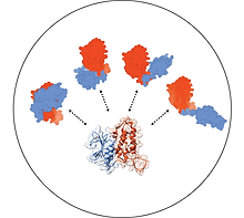 Protein biochemistery ikon-02.tif