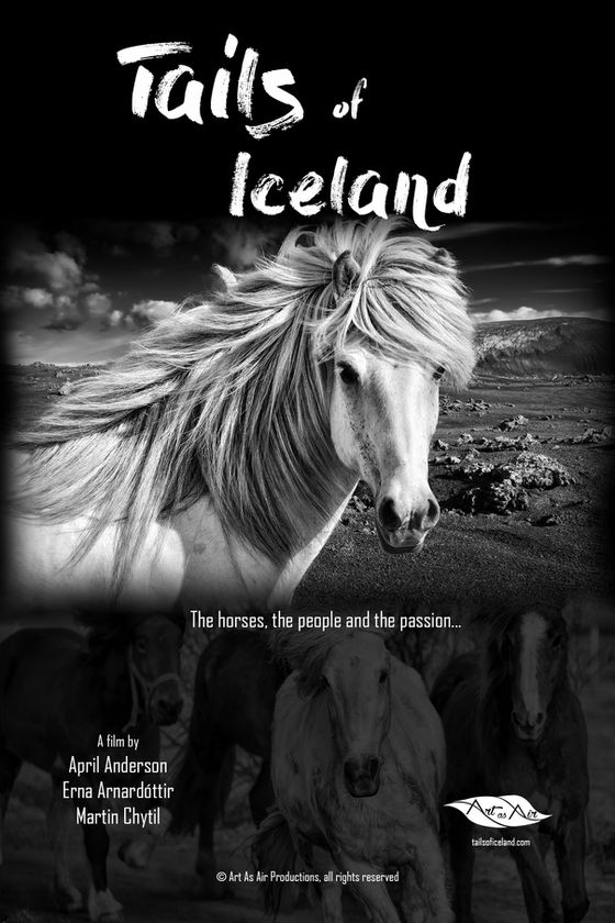 'Tails of Iceland' documentary explores the bond between Icelanders and their unique horses