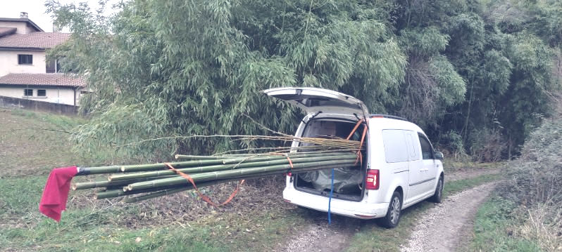 Récolte de chaumes