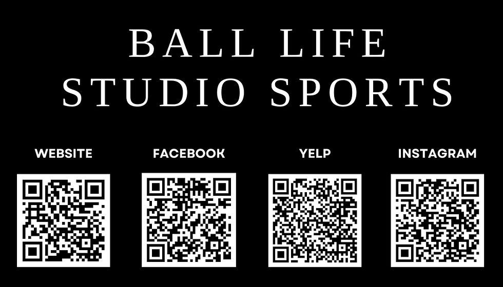 BLS QR codes.jpg