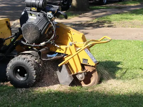 At Frontline Tree Services Inc., we offer expert stump removal and tree planting services to help you reclaim, refresh, and revitalize your outdoor space. Leftover stumps are more than just an eyesore — they’re a tripping hazard, attract pests, and can even cause new unwanted growth. Our stump grinding and removal service clears your yard completely, making way for new landscaping or construction. Once the space is cleared, our tree planting service brings life back to your property with healthy, properly placed trees that enhance beauty, provide shade, and add long-term value. Whether you’re removing the old or planting the new, our experienced team handles every step with precision, care, and attention to your landscape’s unique needs. Trust Frontline Tree Services Inc. to transform your yard into a safe, stunning, and thriving outdoor space.