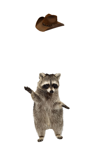 COWBOYGIF.gif