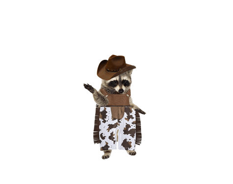 COWBOYHAPPYGIF.gif