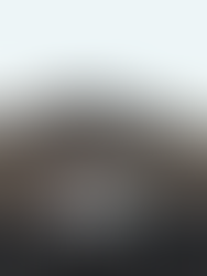 Hedley Studio Australia Bugatti Baby II – modern reinterpretation of the 1920s Type 35, showcased by Rennauto Brisbane.