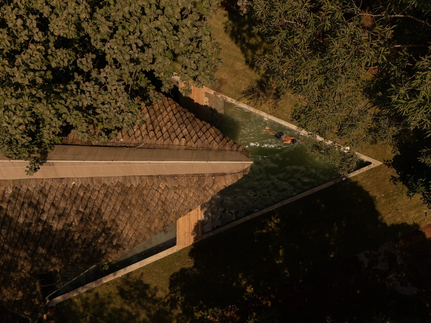 Piscine aérienne Bridge House.