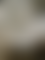 Silhouette assise sur un tronc face à la mer, photo Austin John.