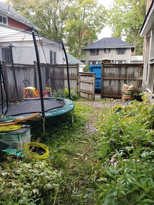 backyard needs a clan up