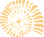 _edited.png